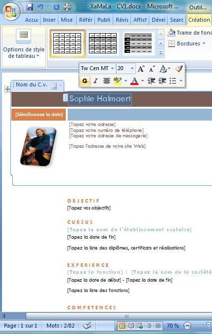 Modèles de CV